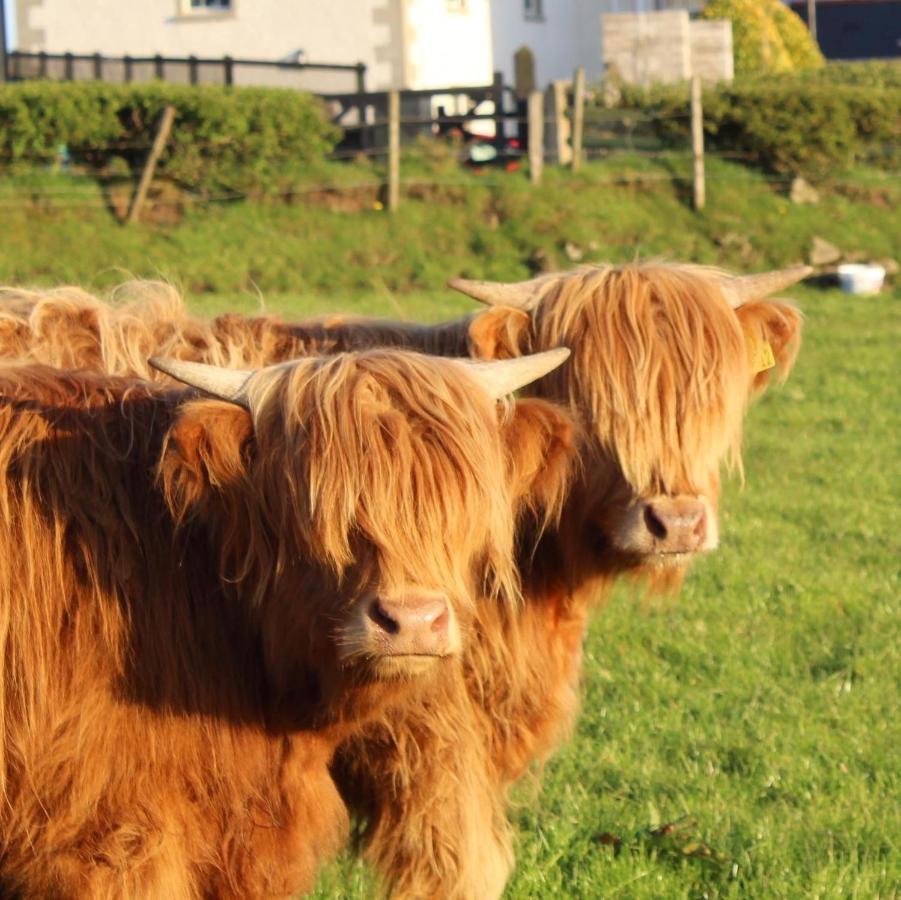 Carnalbanagh House Bed and Breakfast Portstewart Exteriör bild